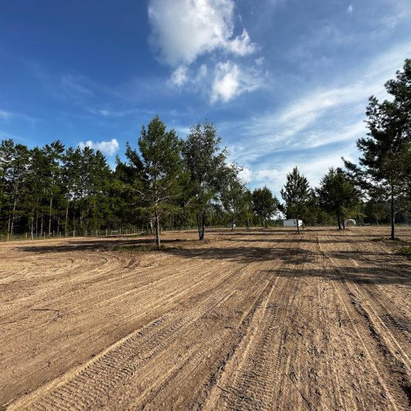 land clearing lake city fl